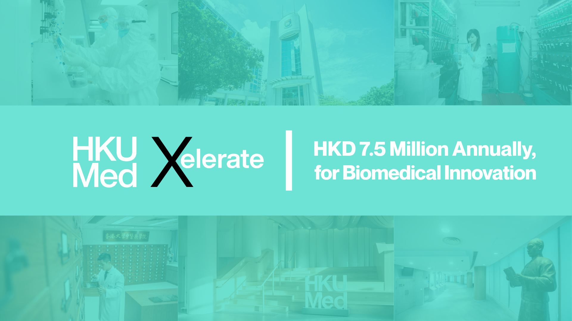 【TTU LinkedIn Series】 What We Do 6: HKUMedXelerate — Fueling the Future of Healthcare Innovation
