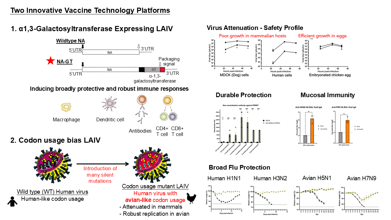 C2iVax Slide