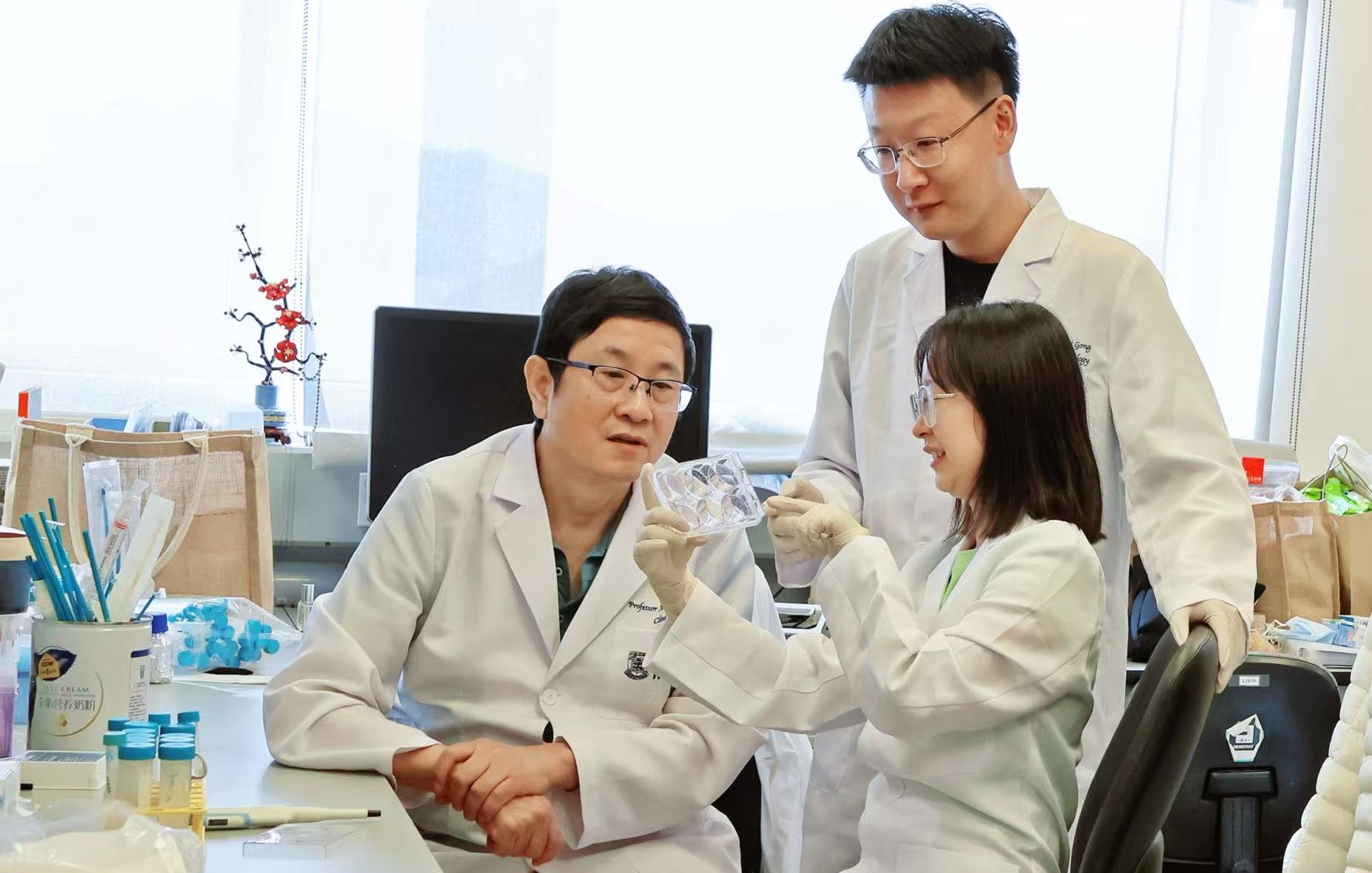 Dr Gong's Team