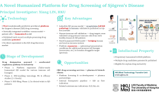 5_SjD_Platform_Slide (1)