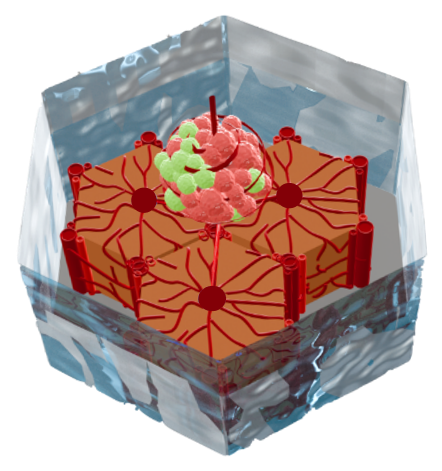 Bionic Liver-in-Cube: Comprehensive Precise Theranostics for Liver Cancer and Diseases