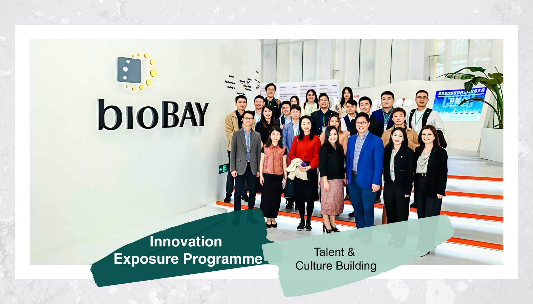 What We Do 4: Innovation Exposure Programme